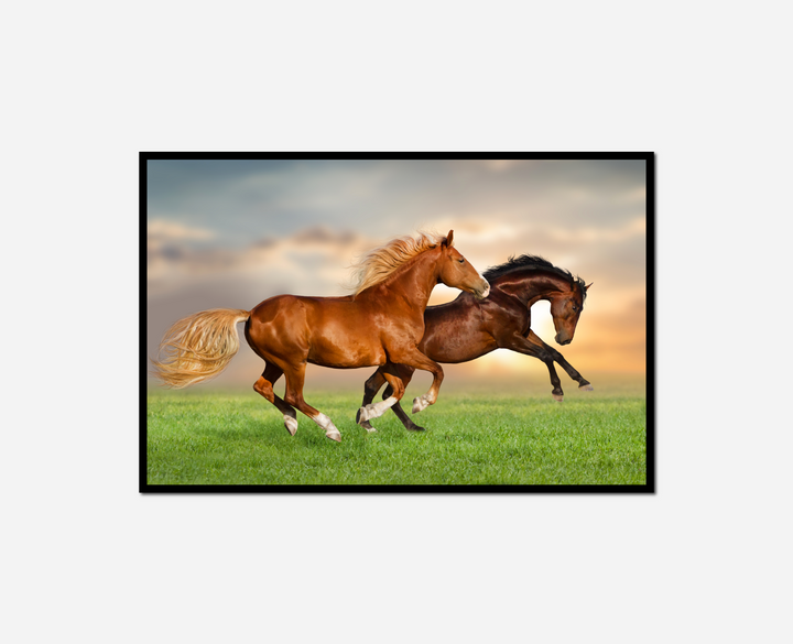 two horses running grass together