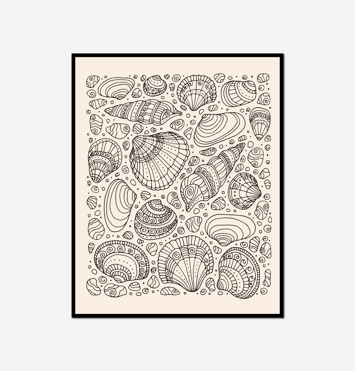 black white shells seashells beige