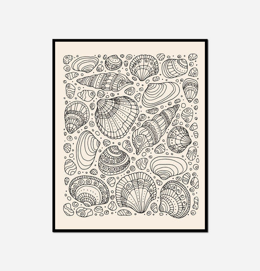 black white shells seashells beige