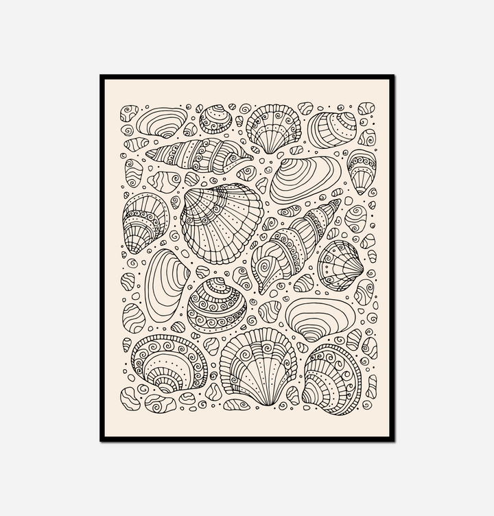 black white shells seashells beige