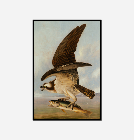 painting bird fish its talon