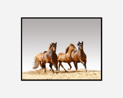 horses running sand cloudy day