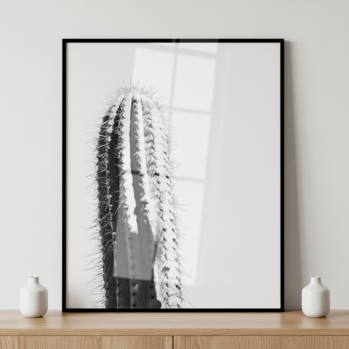 Black white cactus ภาพติดผังสไตล์ธรรมชาติ สำหรับตกแต่งบ้านและคอนโด พร้อมกรอบคุณภาพ
