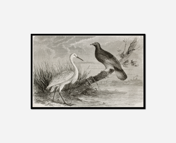 two birds standing tree branch near water