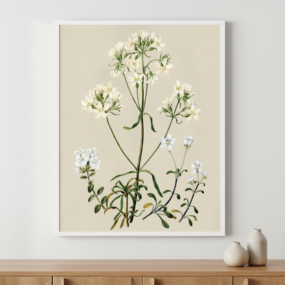 Pale Green