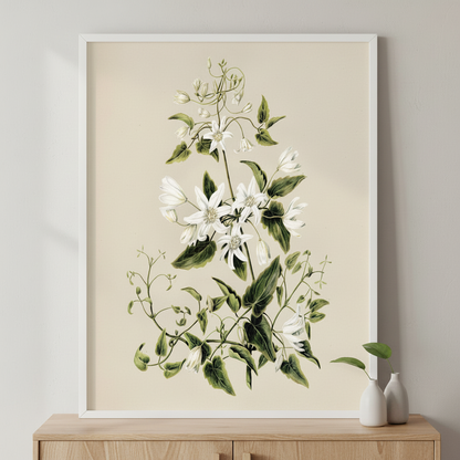 White Spray