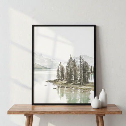 Pine Woods