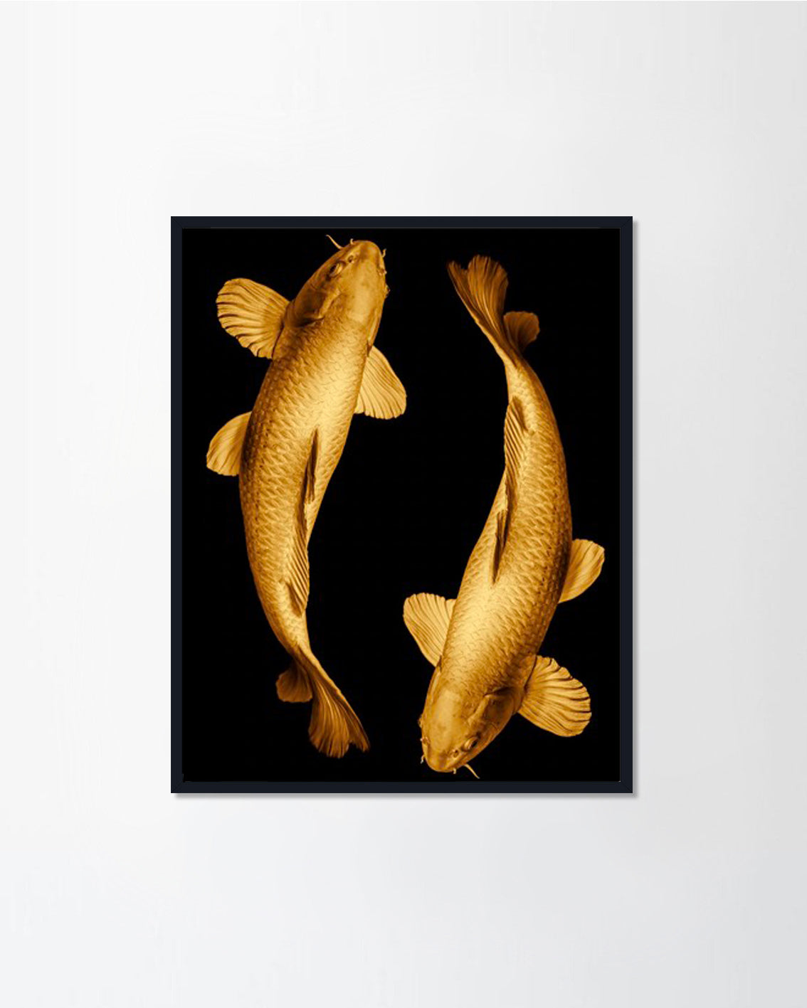 Fish Gold