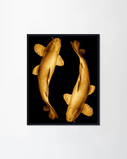 Fish Gold
