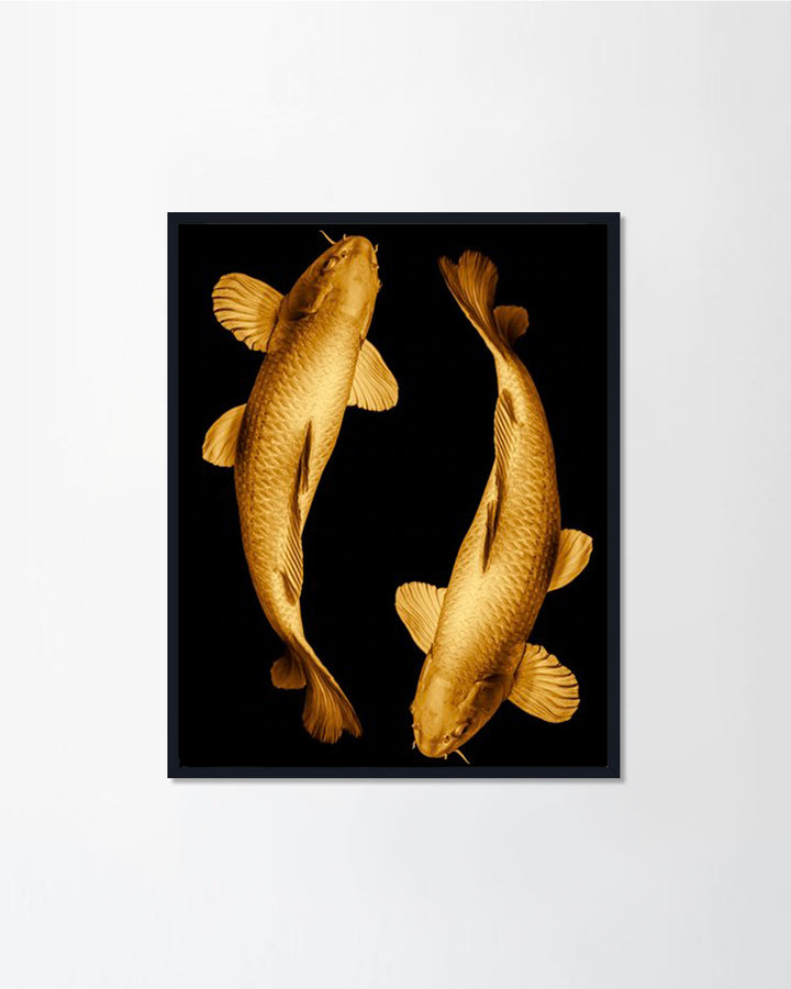 Fish Gold